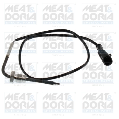 Sensor, exhaust gas temperature